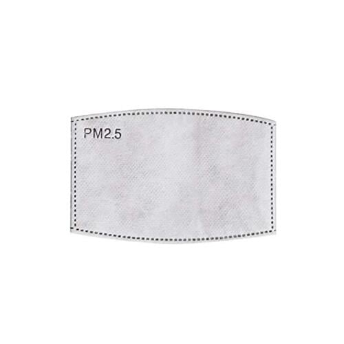 Filters Mondmasker (2 stuks)